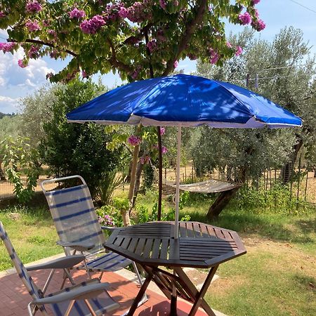 Casa Sisu-Appartamento Immerso Negli Ulivi SantʼElia Fiumerapido Exteriér fotografie