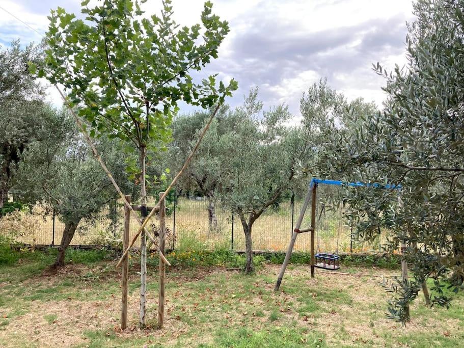 Casa Sisu-Appartamento Immerso Negli Ulivi SantʼElia Fiumerapido Exteriér fotografie
