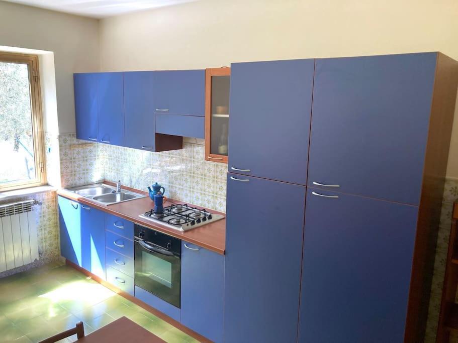 Casa Sisu-Appartamento Immerso Negli Ulivi SantʼElia Fiumerapido Exteriér fotografie