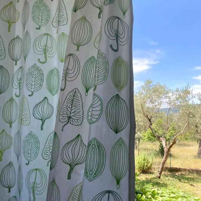 Casa Sisu-Appartamento Immerso Negli Ulivi SantʼElia Fiumerapido Exteriér fotografie