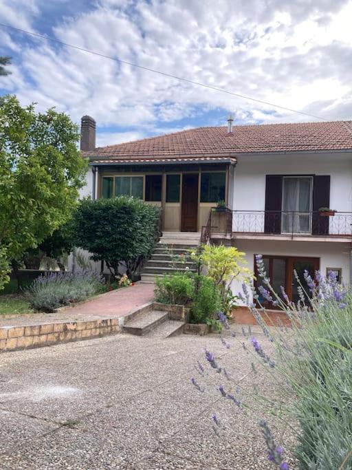 Casa Sisu-Appartamento Immerso Negli Ulivi SantʼElia Fiumerapido Exteriér fotografie