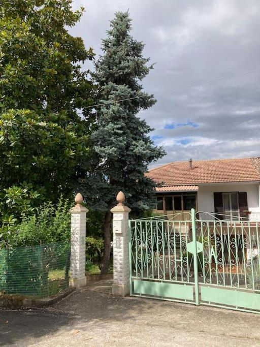 Casa Sisu-Appartamento Immerso Negli Ulivi SantʼElia Fiumerapido Exteriér fotografie
