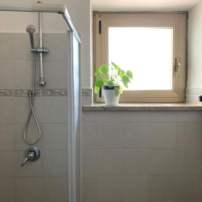 Casa Sisu-Appartamento Immerso Negli Ulivi SantʼElia Fiumerapido Exteriér fotografie