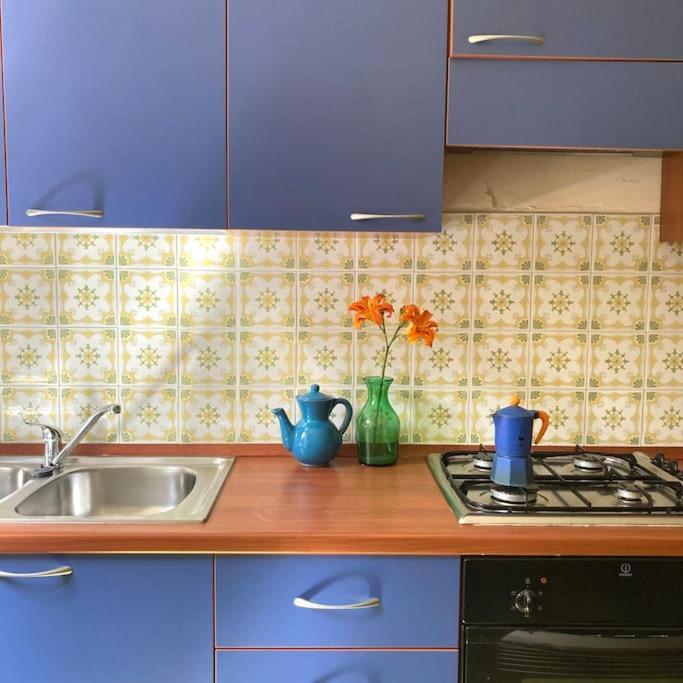 Casa Sisu-Appartamento Immerso Negli Ulivi SantʼElia Fiumerapido Exteriér fotografie