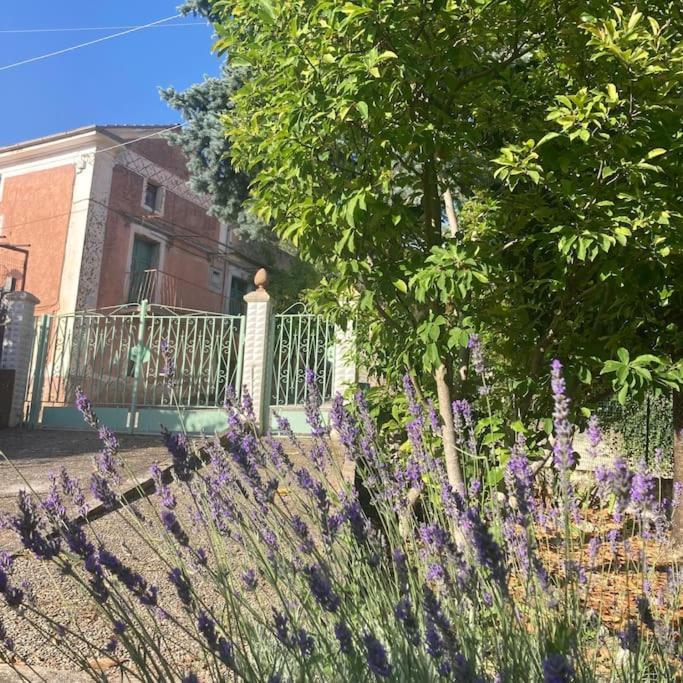 Casa Sisu-Appartamento Immerso Negli Ulivi SantʼElia Fiumerapido Exteriér fotografie