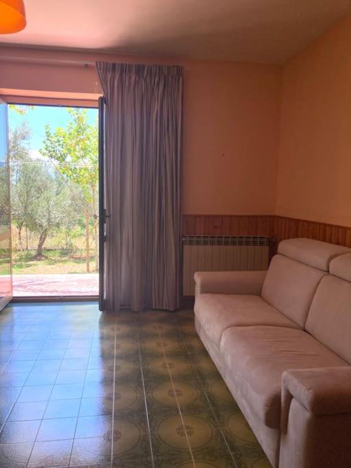 Casa Sisu-Appartamento Immerso Negli Ulivi SantʼElia Fiumerapido Exteriér fotografie