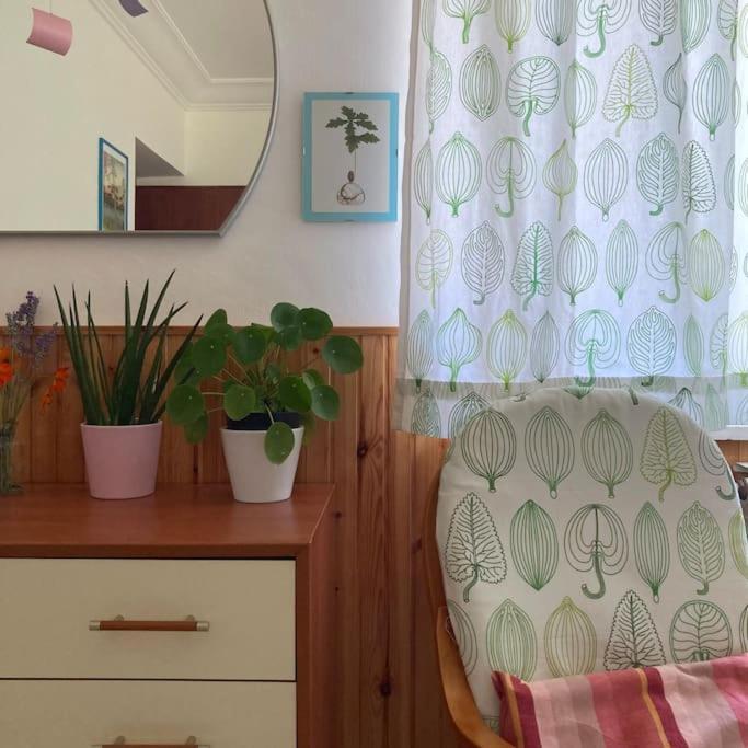 Casa Sisu-Appartamento Immerso Negli Ulivi SantʼElia Fiumerapido Exteriér fotografie