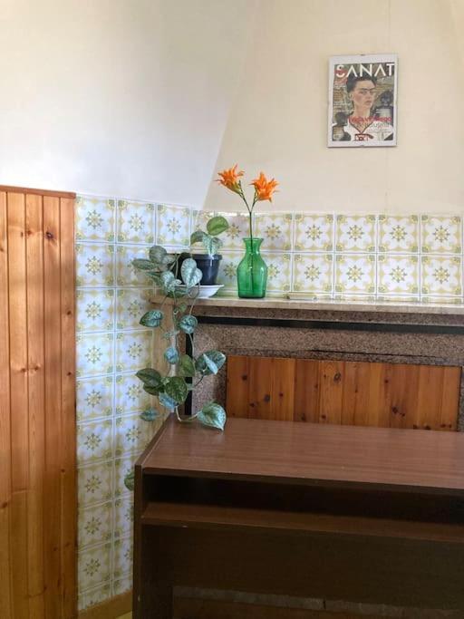 Casa Sisu-Appartamento Immerso Negli Ulivi SantʼElia Fiumerapido Exteriér fotografie
